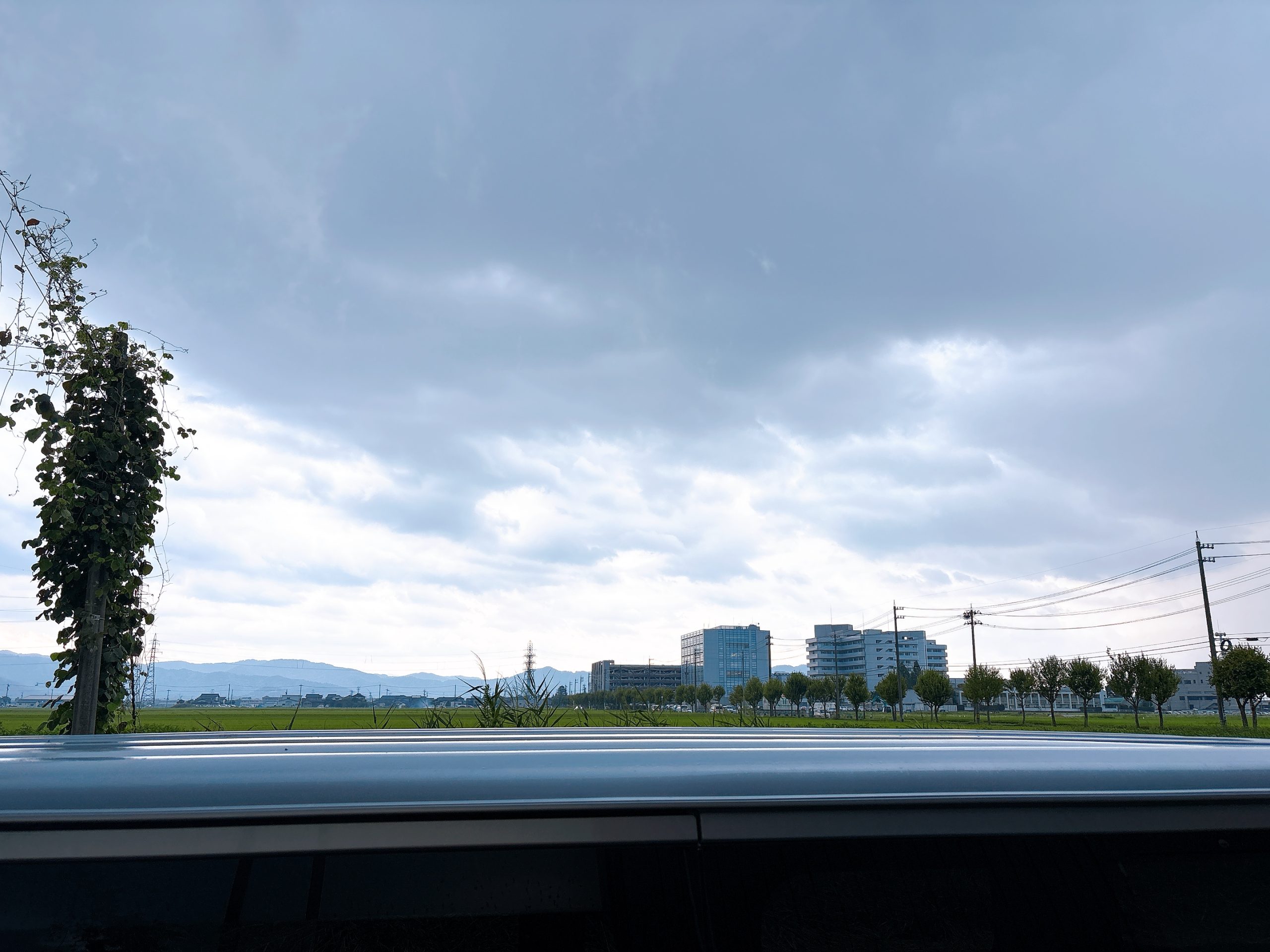 久しぶりの曇り空からの～